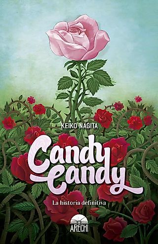 Cover image for the novel called Candy Candy