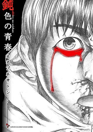 Cover image for the manga called Nibiiro no Seishun