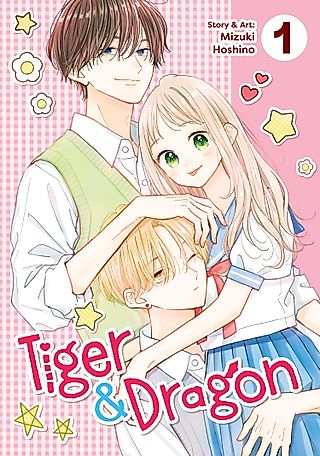 Cover image for the manga called Tiger and Dragon