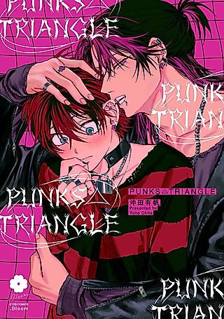 Cover image for the manga called PUNKS TRIANGLE