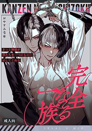 Cover image for the manga called The Perfect Family