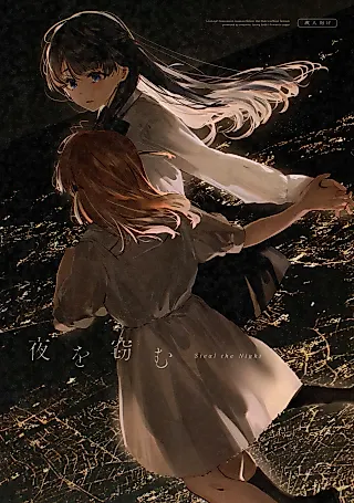 Cover image for the other called Steal the Night