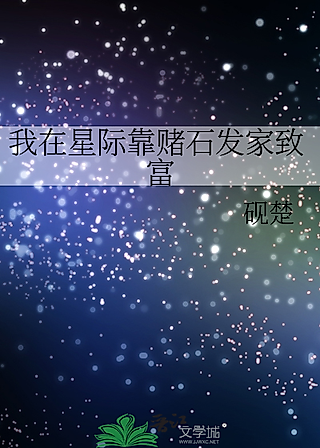 Cover image for the novel called The First Interstellar Energy Gambler