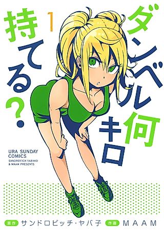 Cover image for the novel called How Heavy Are the Dumbbells You Lift?
