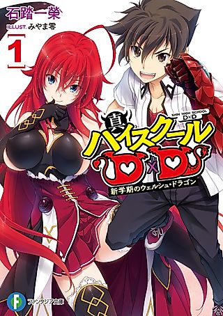 Cover image for the novel called High School DxD