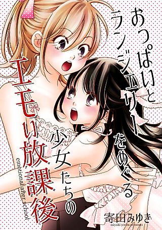 Cover image for the manga called Regarding Breasts and Lingerie