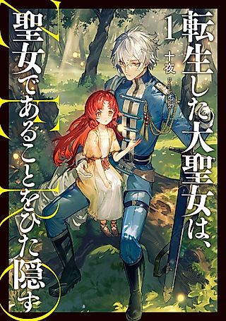 Cover image for the novel called A Tale of the Secret Saint ZERO