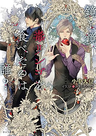 Cover image for the novel called Mirror, Mirror on the Wall