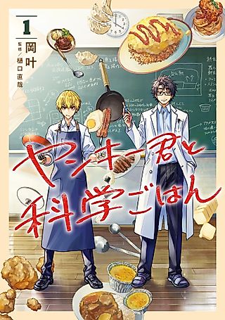 Cover image for the manga called Yankee-kun to Kagaku Gohan
