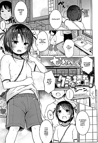 Cover image for the other called Cooler ga Kowareta