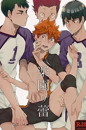 Cover image for the other called Haikyu!! dj - Hinata bowl