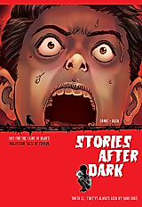 Cover image for the other called Stories After Dark: Malaysia