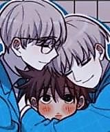 Cover image for the manhua called Blowfish and Dolphin