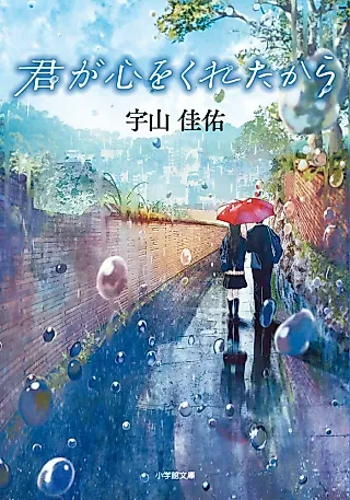 Cover image for the novel called Because you gave me your heart