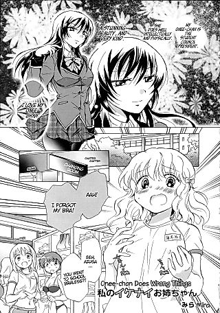 Cover image for the manga called Onee-chan Does Wrong Things