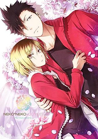 Cover image for the other called [Haikyu!!] NEKO*NEKOxCONCERTO