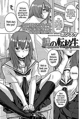 Cover image for the novel called The Mysterious Transfer Student