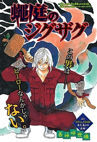 Cover image for the novel called Zigzag of the Fly Court