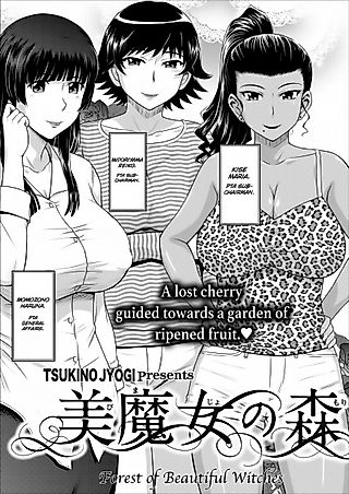 Cover image for the novel called Bimajo no Mori