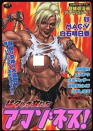 Cover image for the novel called Takedakeshiki Onna-tachi Amazons!