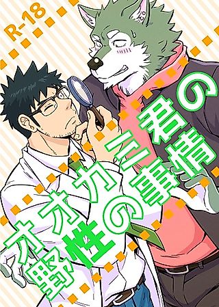 Cover image for the novel called Ookami-kun no Yasei no Jijou