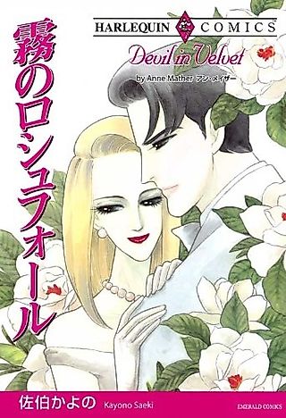Cover image for the novel called Kiri no Rochefort