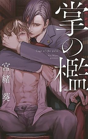 Cover image for the novel called Cage of the palm