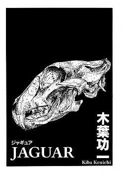 Cover image for the novel called Jaguar