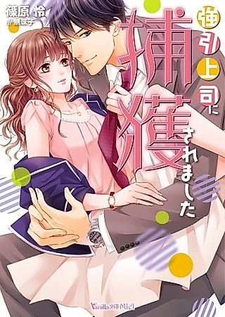 Cover image for the novel called Gouin Joushi ni Hokaku Saremashita