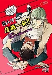 Cover image for the novel called Shirouto Yankee Kikiippatsu!!