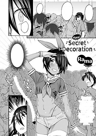 Cover image for the other called More Secret Decoration