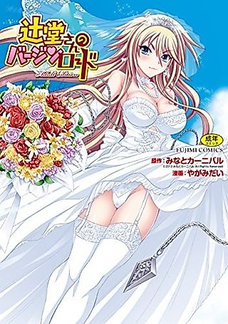 Cover image for the novel called Tsujidou-san no Virgin Road Adult Edition