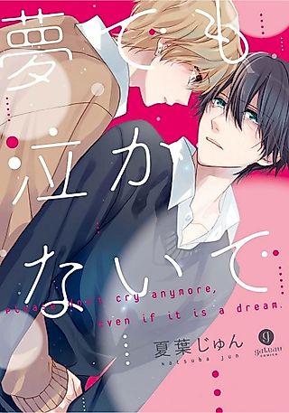 Cover image for the novel called Don't cry anymore