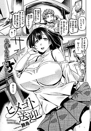 Cover image for the novel called Himegoto Sougei