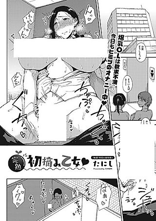 Cover image for the novel called Kanjuku Hatsuzumi Otome