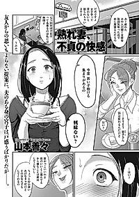 Cover image for the novel called Ure Tsuma, Futei no Kaikan
