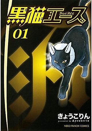 Cover image for the novel called Black Ace