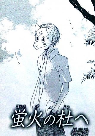 Cover image for the novel called Hotarubi no Mori e Tokubetsuhen