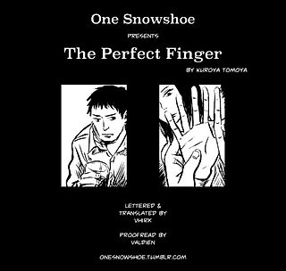 Cover image for the novel called The perfect finger