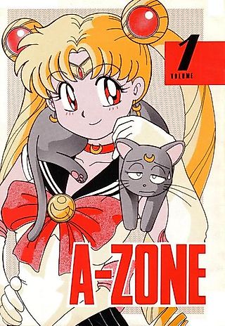 Cover image for the other called A-Zone