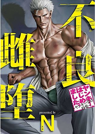 Cover image for the other called Furyou Mesu Ochi