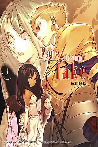 Cover image for the novel called Fake/states night