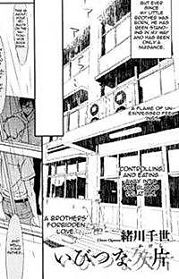 Cover image for the manga called Ibitsu Na Kakera