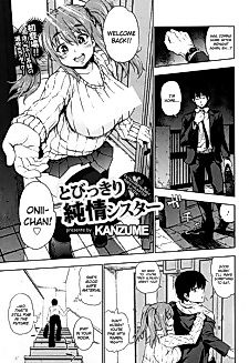 Cover image for the manga called Tobikkiri Junjou Sister