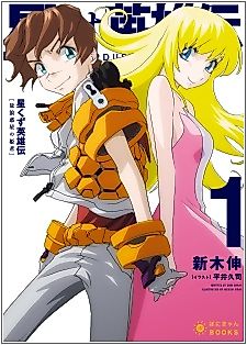 Cover image for the novel called Stardust Hero Legend