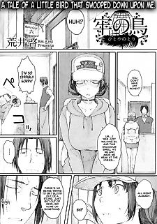 Cover image for the manga called Hitoya no Tori