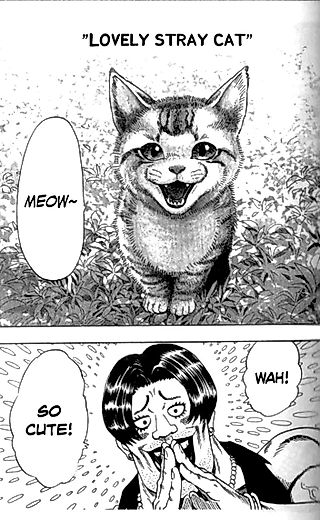 Cover image for the manga called Lovely Stray Cat