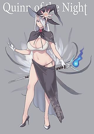 Cover image for the other called Quinn of the Night