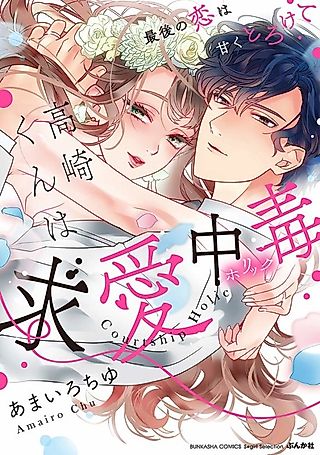 Cover image for the manga called Courtship Holic