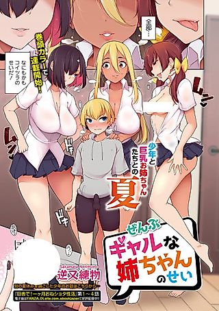 Cover image for the manga called It's All The Gal Nee-chans' Fault